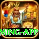 Pakistan Betting Site Mega Gaming App